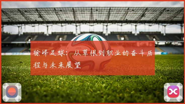 徐峰足球：从草根到职业的奋斗历程与未来展望
