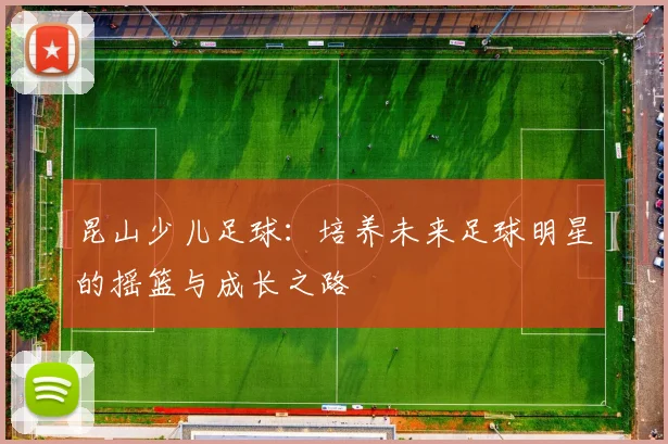 昆山少儿足球：培养未来足球明星的摇篮与成长之路
