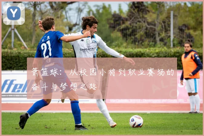 萧篮球：从校园小将到职业赛场的奋斗与梦想之路