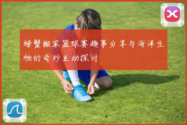 螃蟹搬家篮球赛趣事分享与海洋生物的奇妙互动探讨