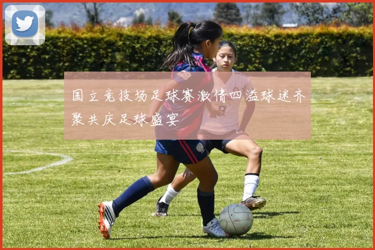 国立竞技场足球赛激情四溢球迷齐聚共庆足球盛宴