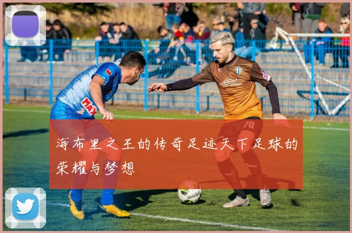 海布里之王的传奇足迹天下足球的荣耀与梦想