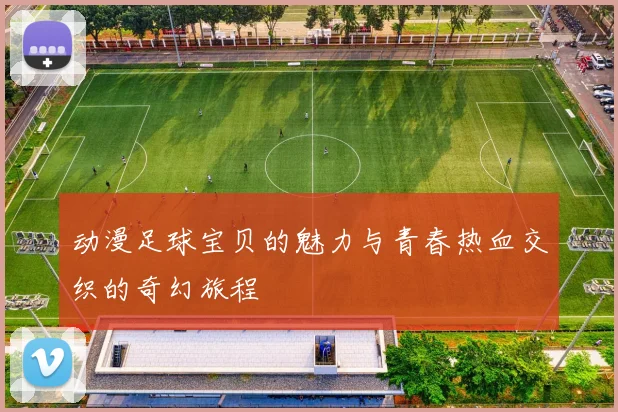 动漫足球宝贝的魅力与青春热血交织的奇幻旅程