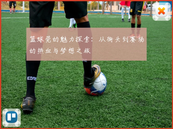 篮球莞的魅力探索：从街头到赛场的热血与梦想之旅