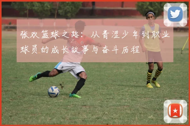 张欢篮球之路：从青涩少年到职业球员的成长故事与奋斗历程
