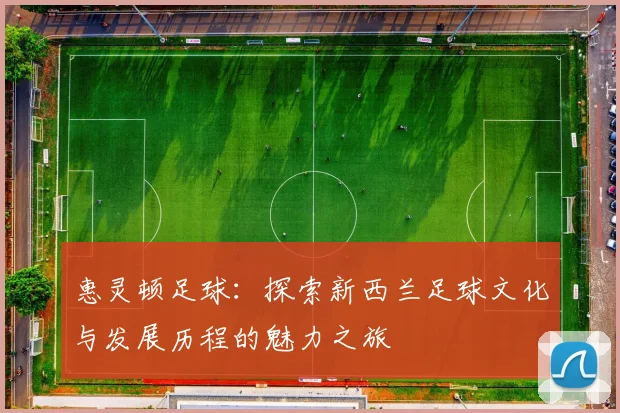 惠灵顿足球：探索新西兰足球文化与发展历程的魅力之旅