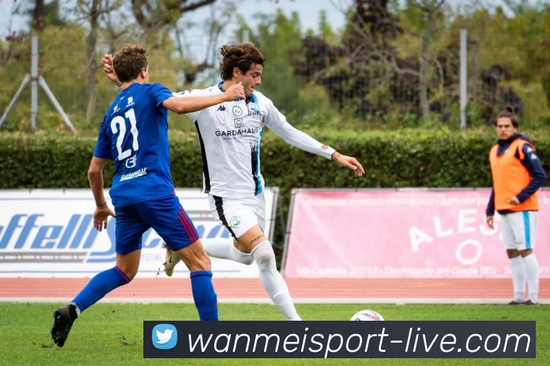 完美体育平台生态图